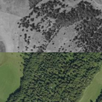 Superposition de photos aérienne des années 1950 et 2017