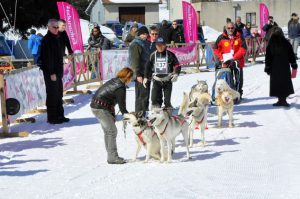 Course de chiens de traineau à La Pesse