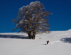 Ski de randonnée nordique sur les crêtes de Nerbier